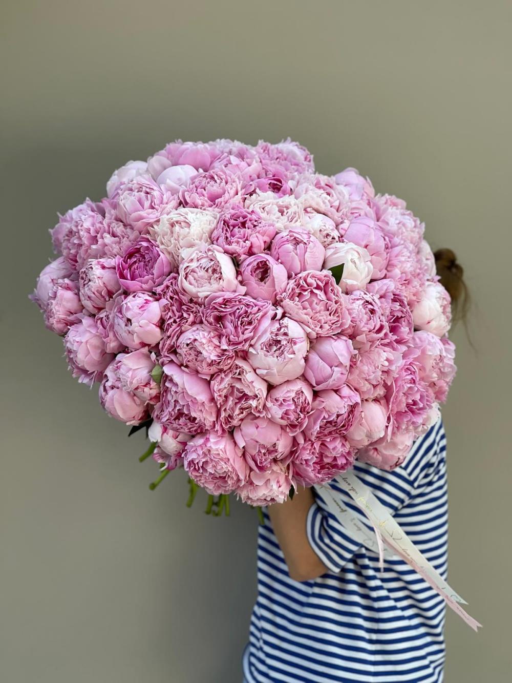 Peony Melody